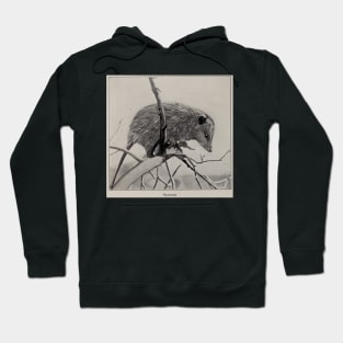 Opossum illustration Hoodie